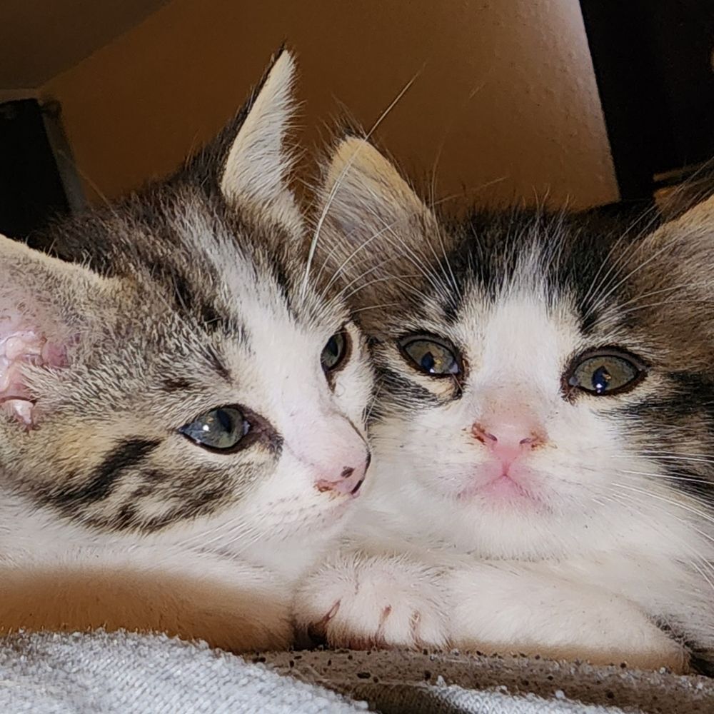 We are waiting for your order!